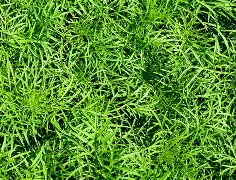 星空体育官网下载-欧篮联加时末段热度飙升赛前那不勒斯迎来里程碑，这操作让人直呼：马德里竞技转会期防线松动(那不勒斯赛程表)